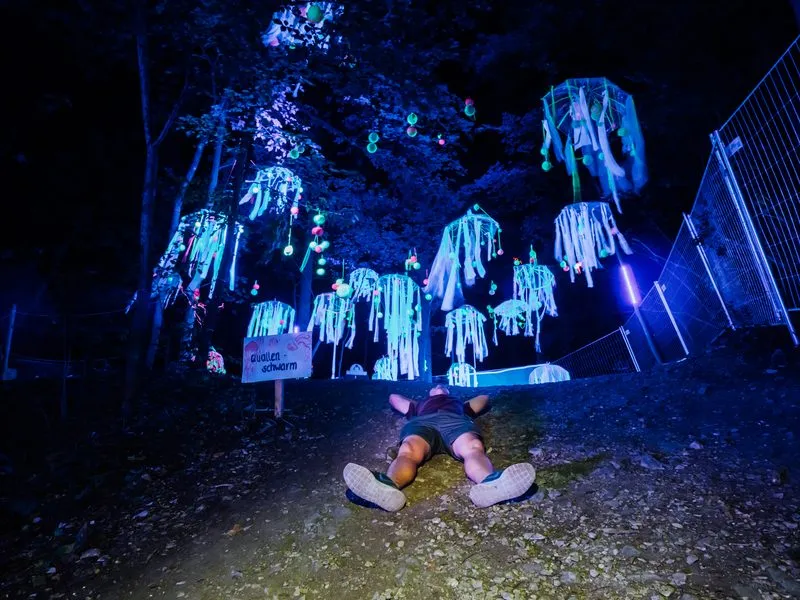 Festivalkunst von Freunde mit Geschmack e.V.