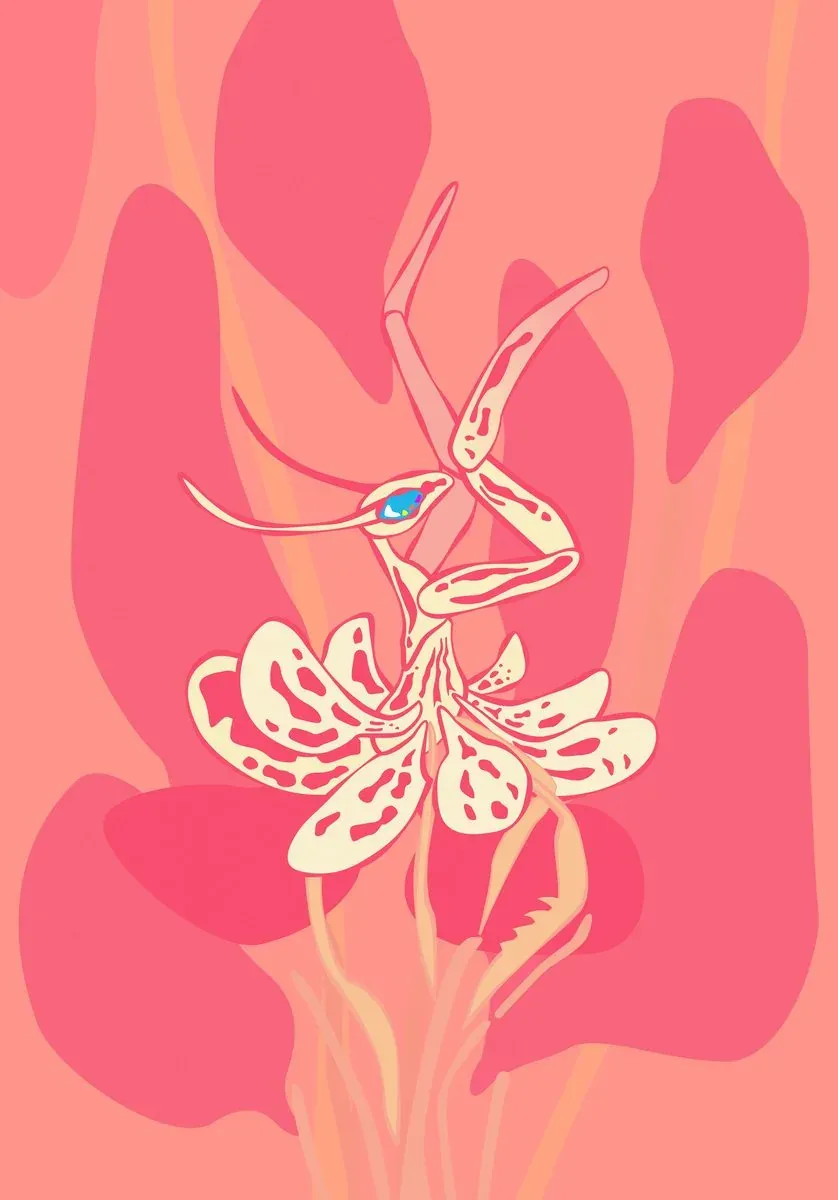 WmG Festival 2026 – Metamorphosis