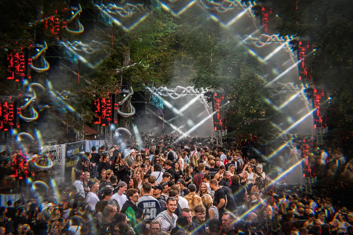 Laser über der Crowd im Wald