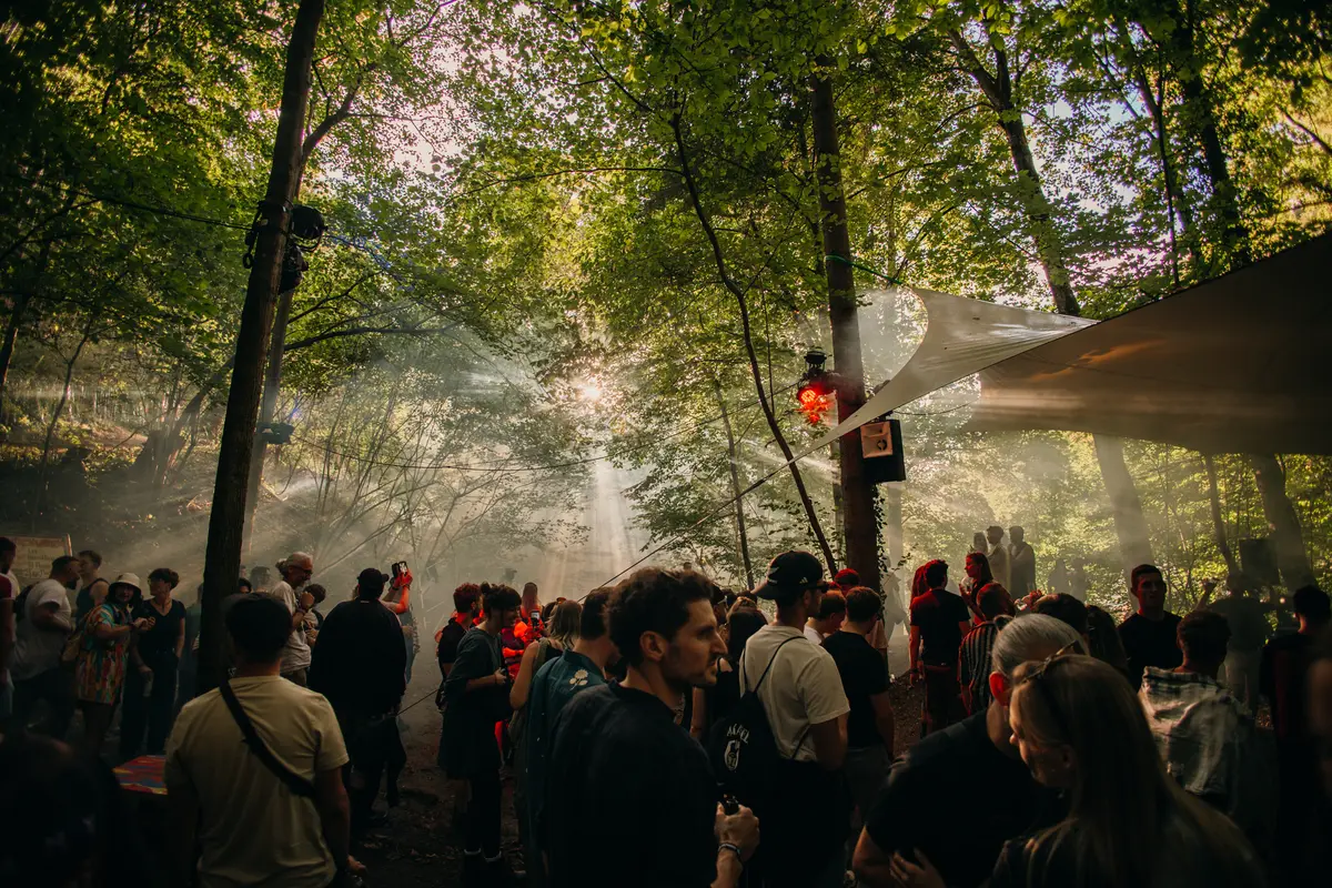 Sonnenstrahlen durch den Wald über der Crowd