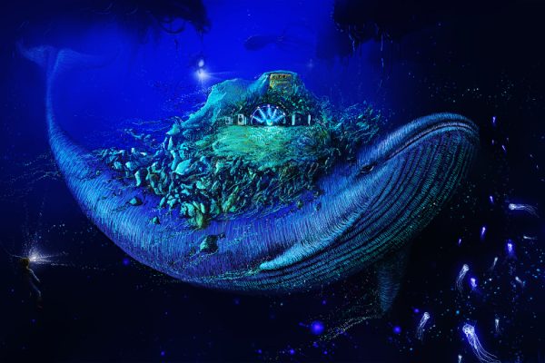 Wasser mit Geschmack 2017