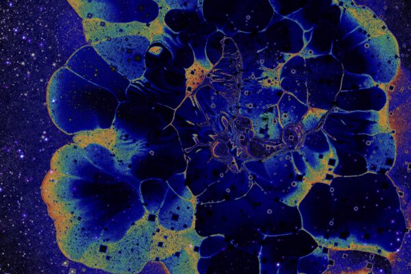 Wasser mit Geschmack 2022