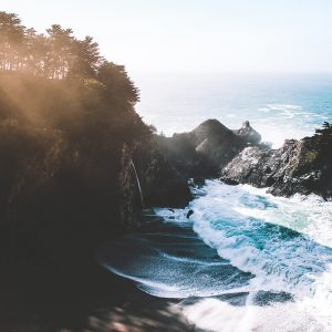 Reinier Zonneveld (live)